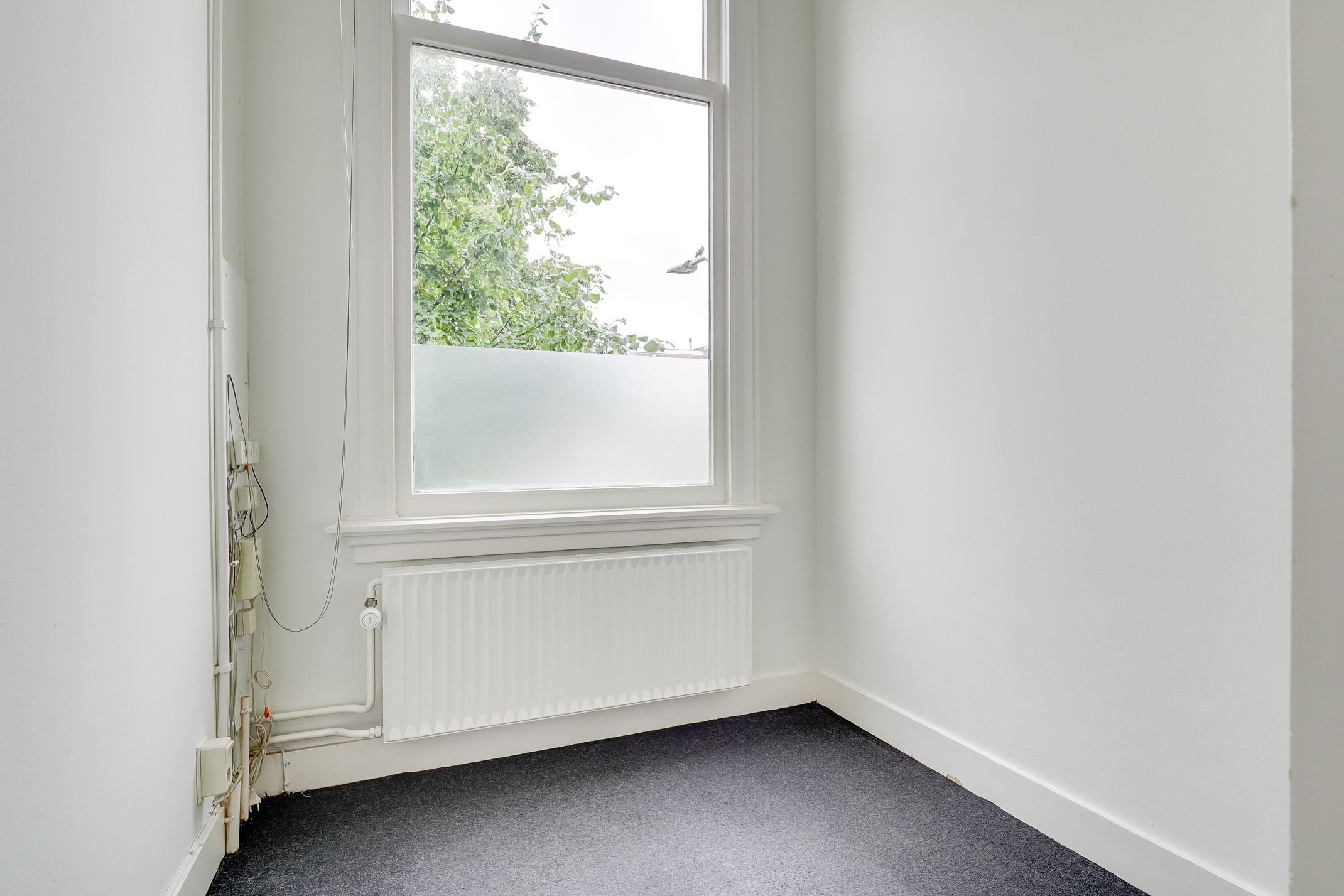 Foto 18 van Adriaen van Ostadelaan 46