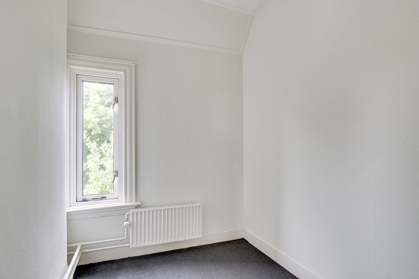 Foto 25 van Adriaen van Ostadelaan 46