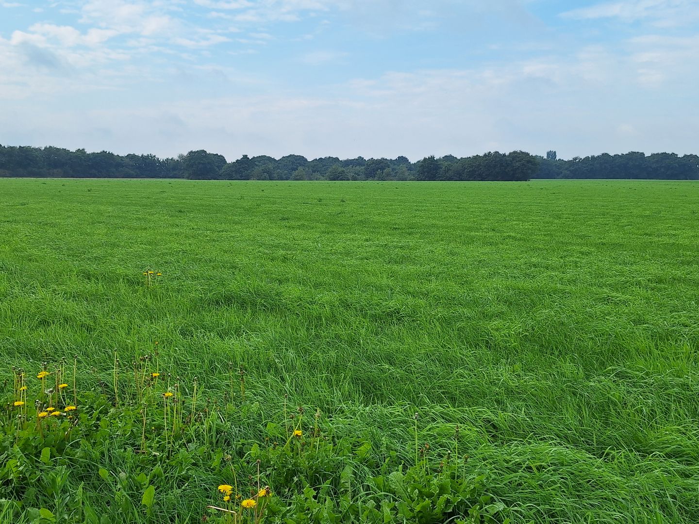 Bekijk foto 4 van Prinsenweg