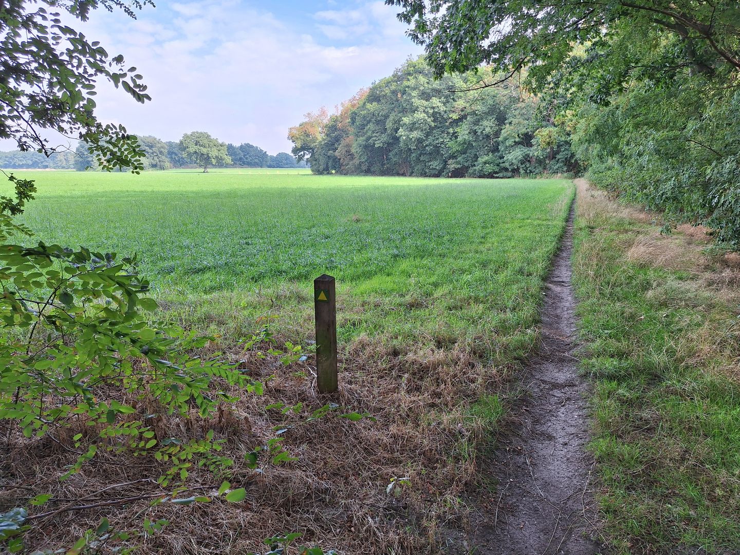 Bekijk foto 3 van Prinsenweg
