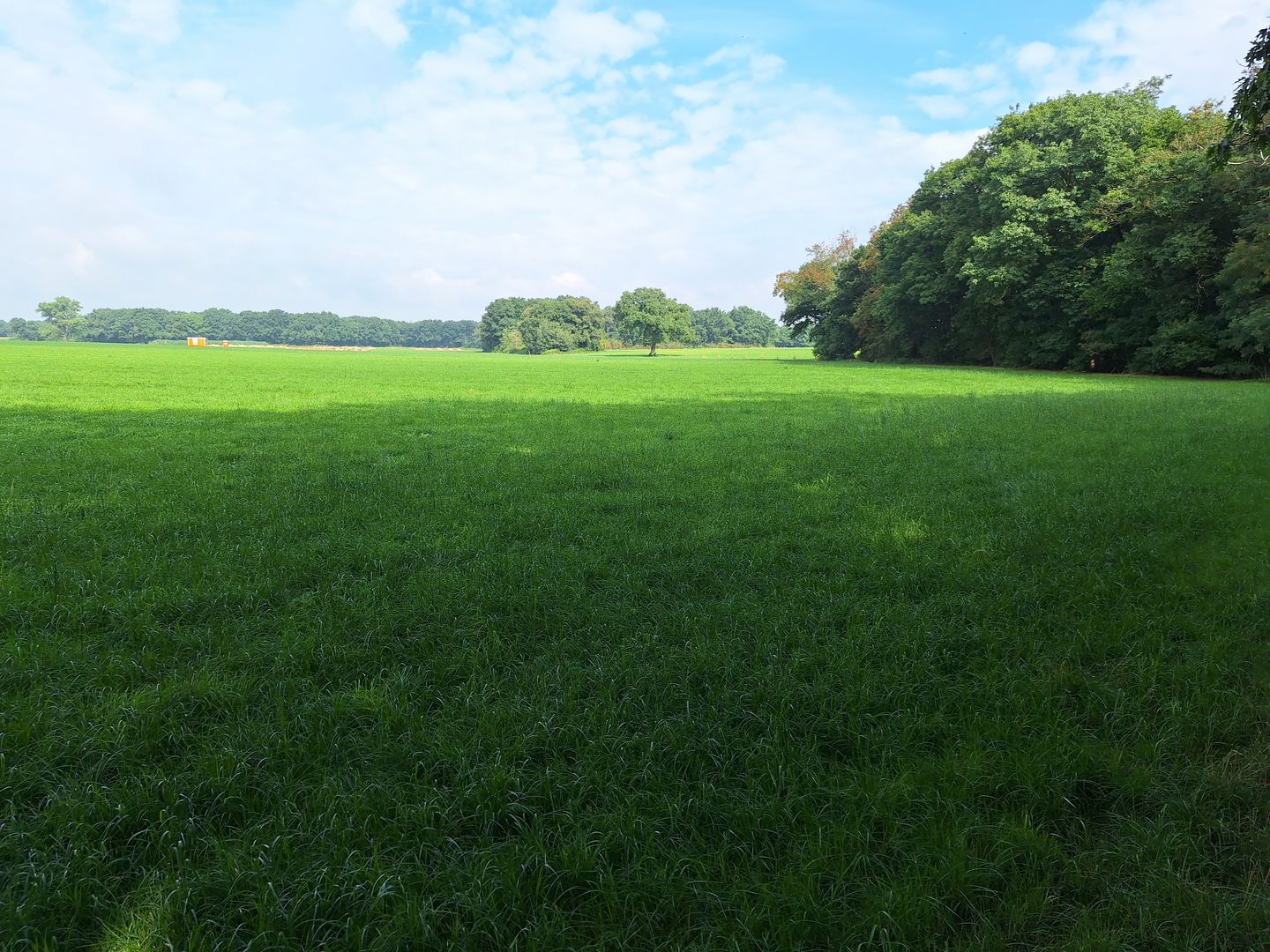 Bekijk foto 2 van Prinsenweg