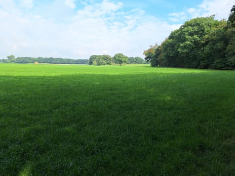 Bekijk foto's