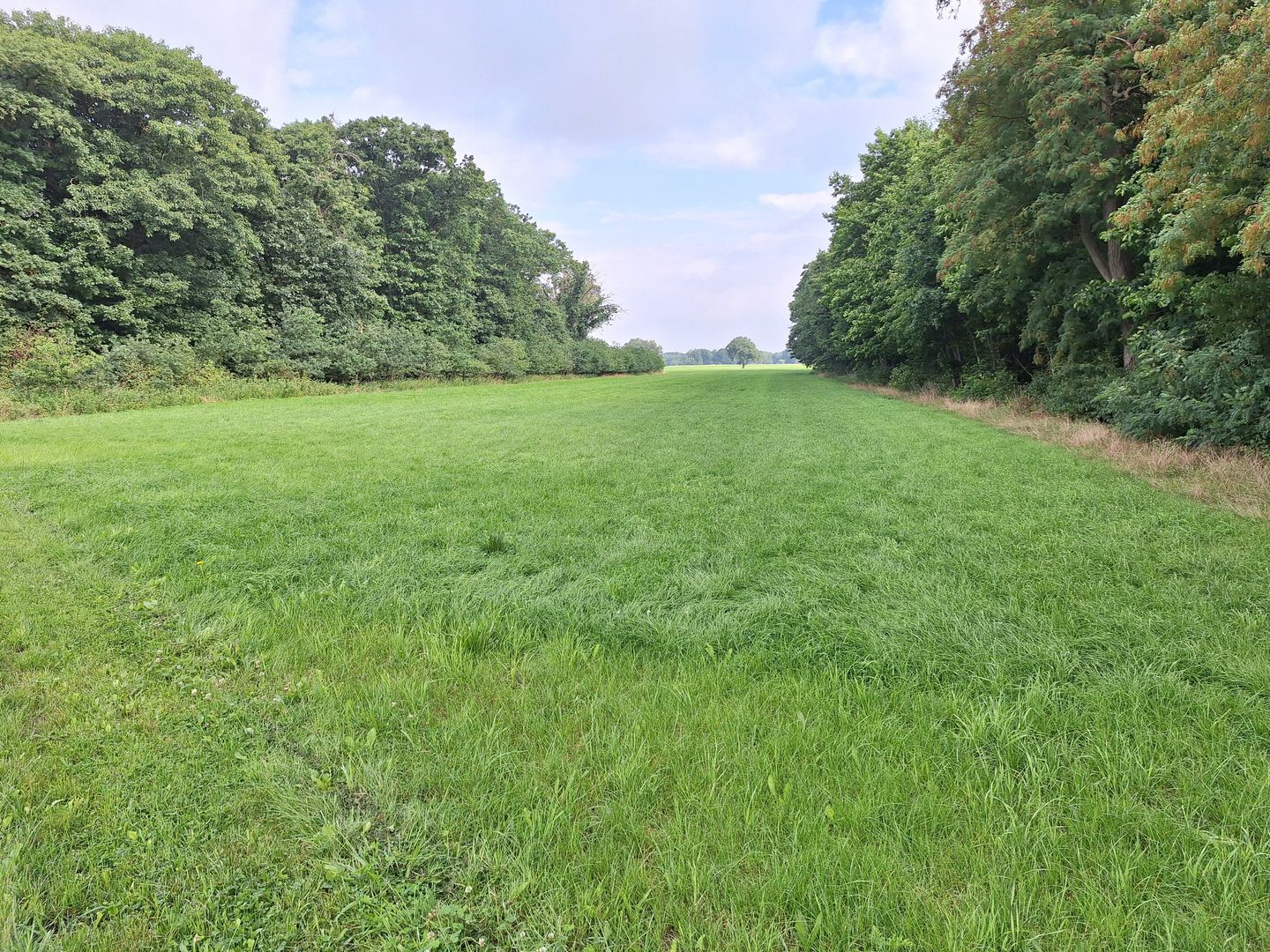 Prinsenweg - Langenboom - Afbeelding 1