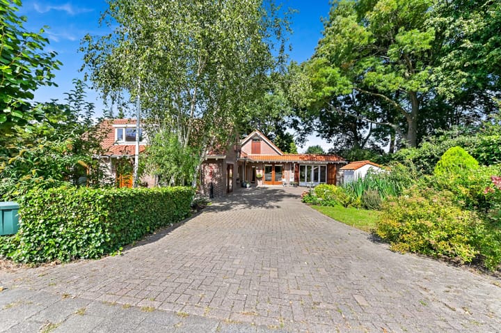 Foto 2 van Haantje 22