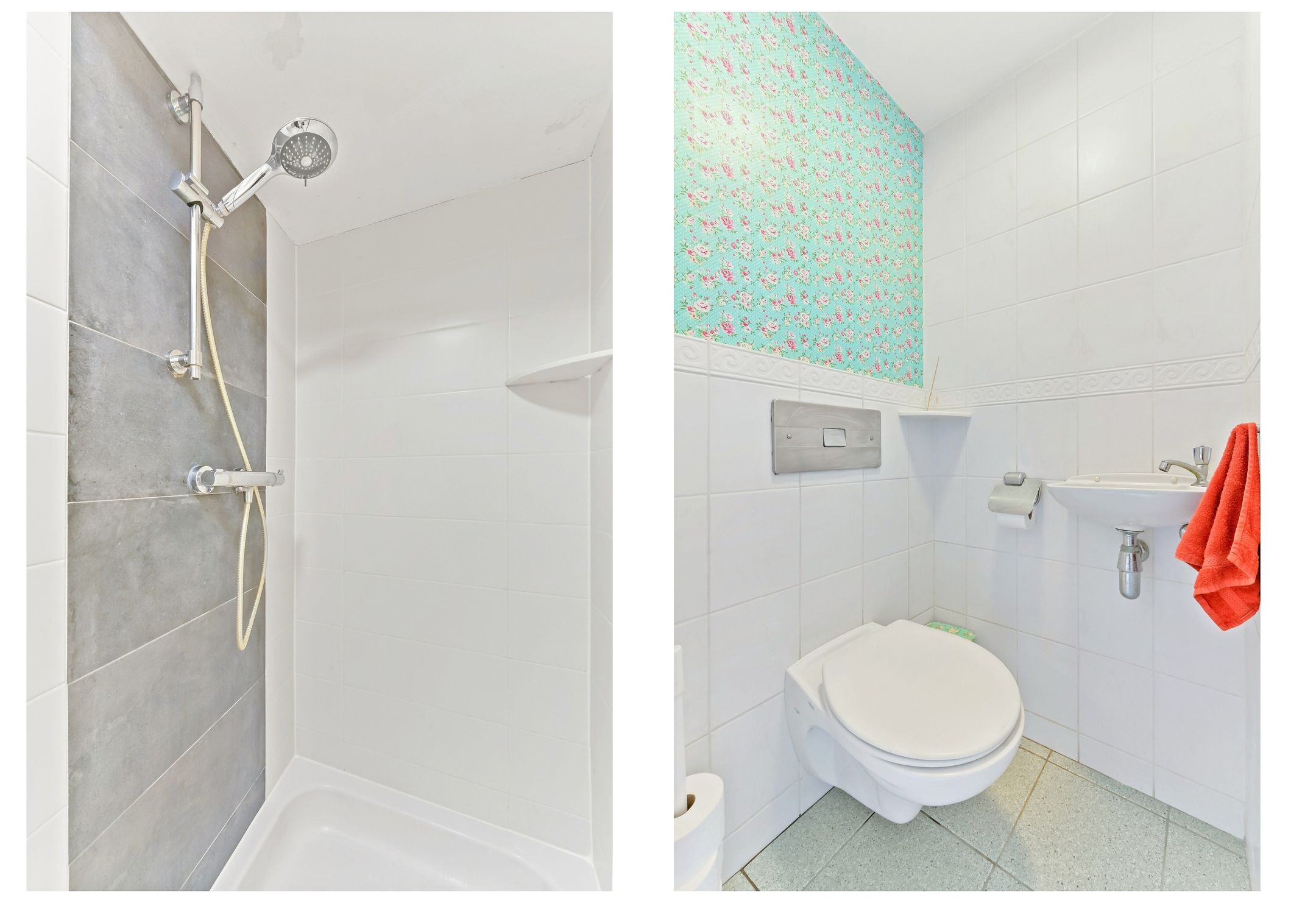 Foto 24 van Haantje 22