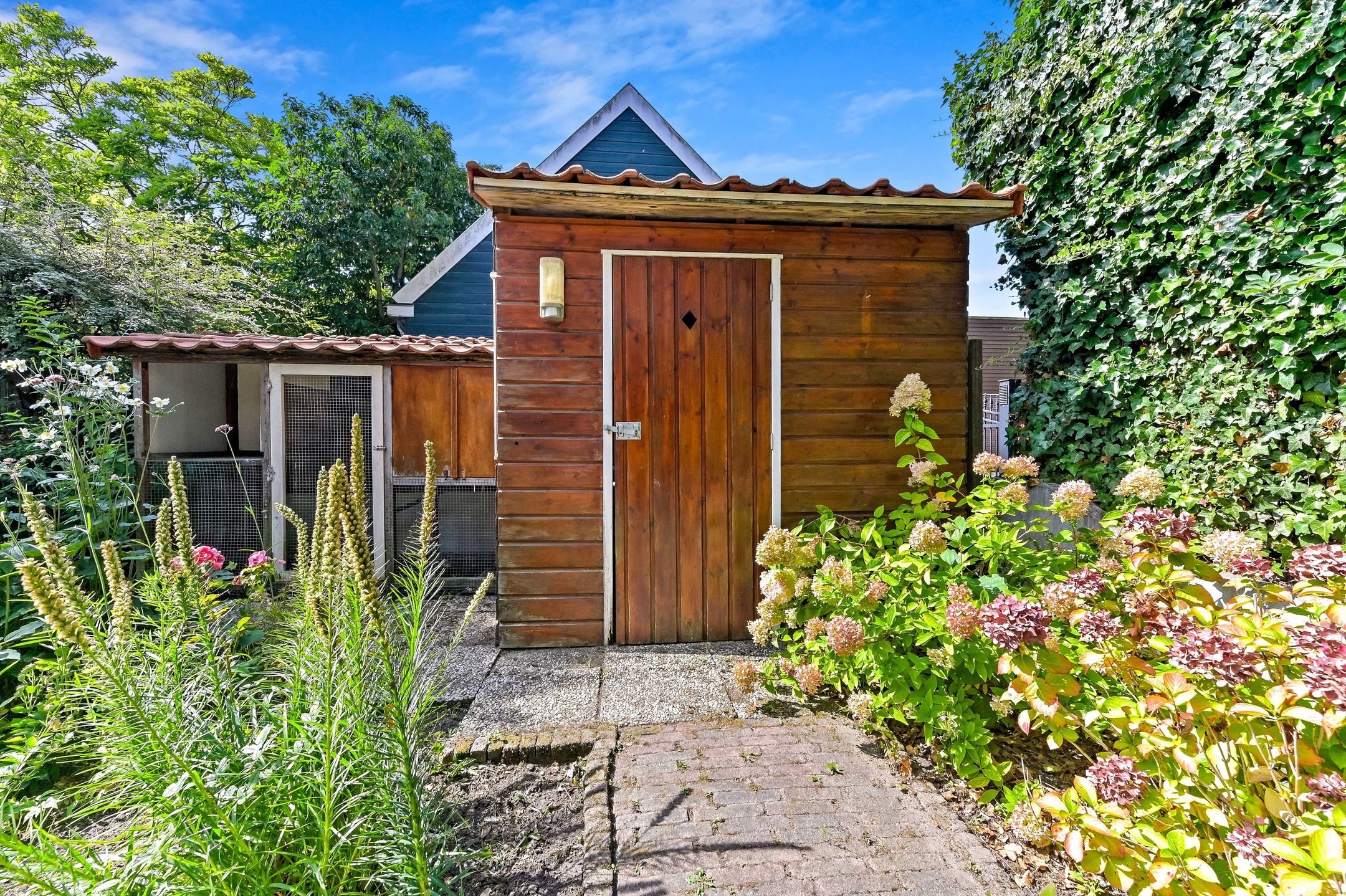 Foto 57 van Haantje 22