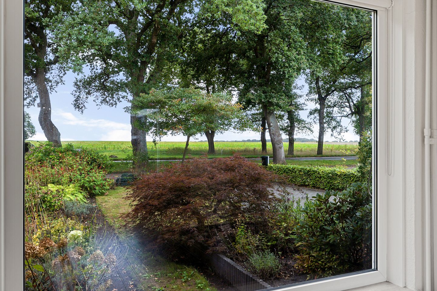 Photo 4 of Noordeind 43