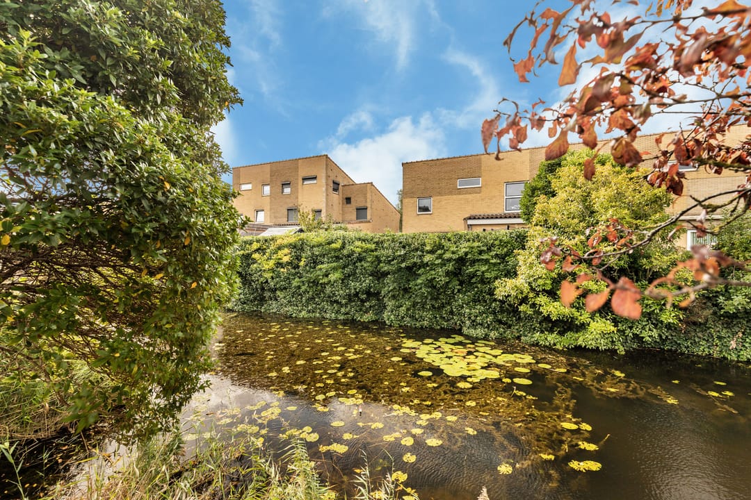 Foto 31 van Banckspolder 46