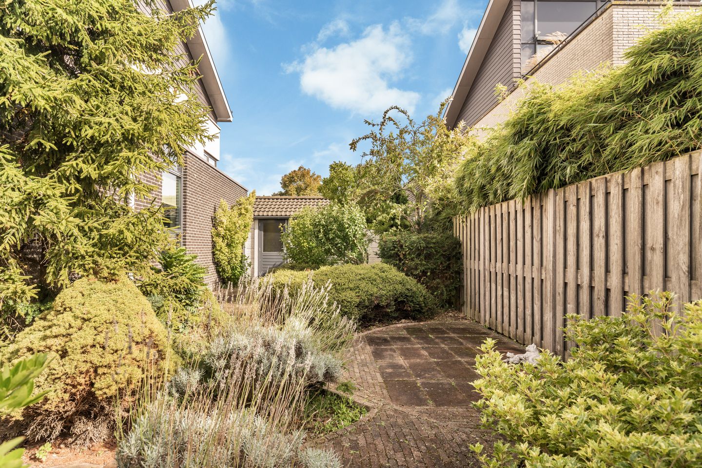 Foto 35 van Banckspolder 46