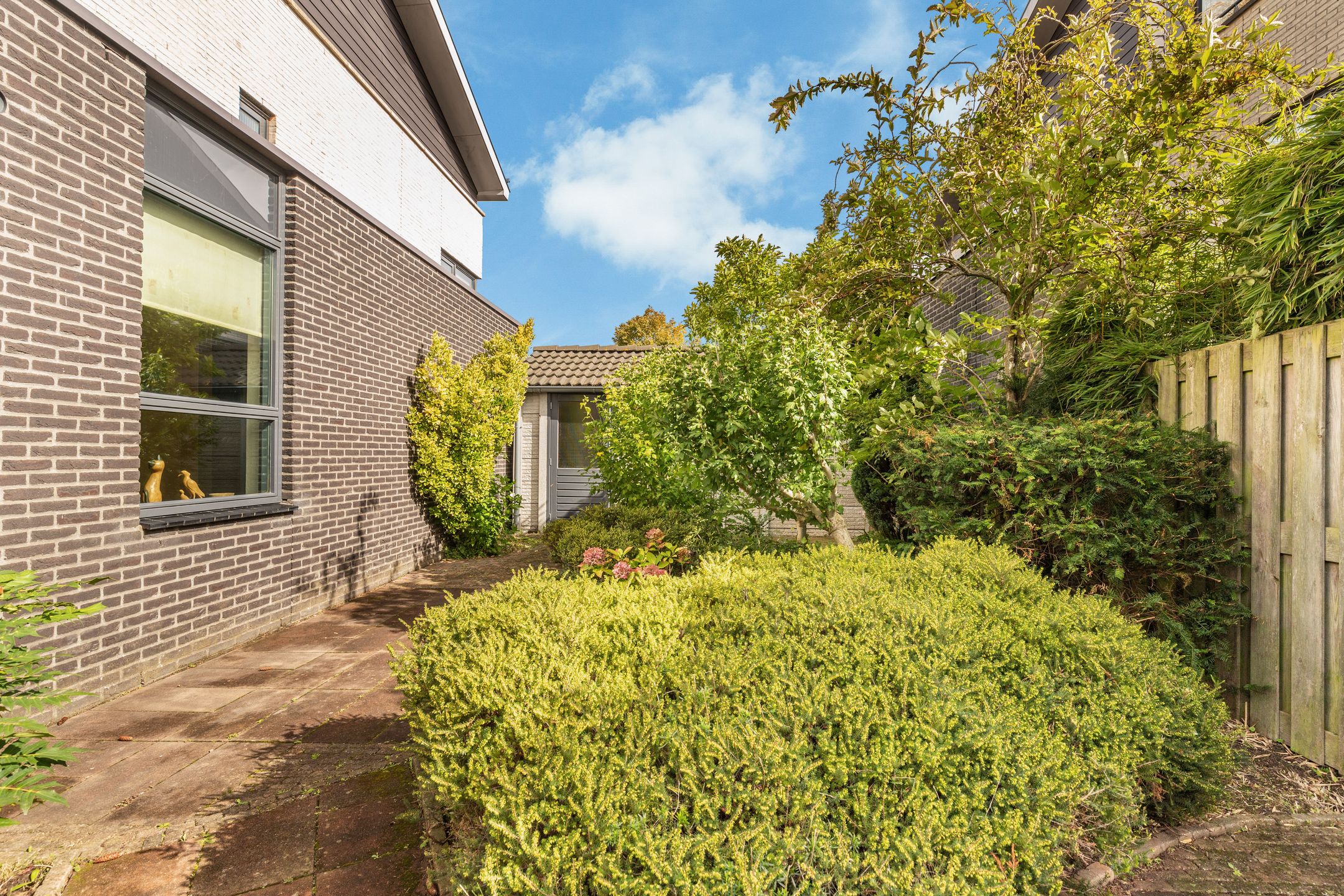 Foto 36 van Banckspolder 46