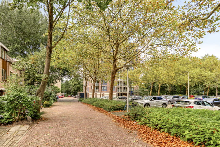 Photo 31 of Logger 284