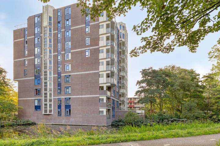 Photo 6 of Logger 284