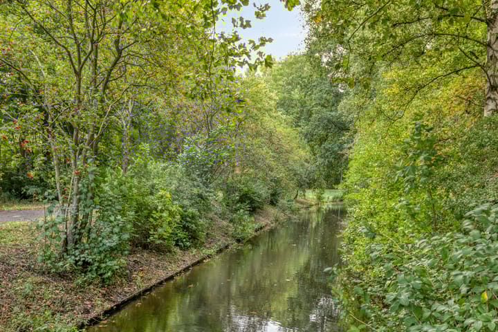 Photo 23 of Logger 284