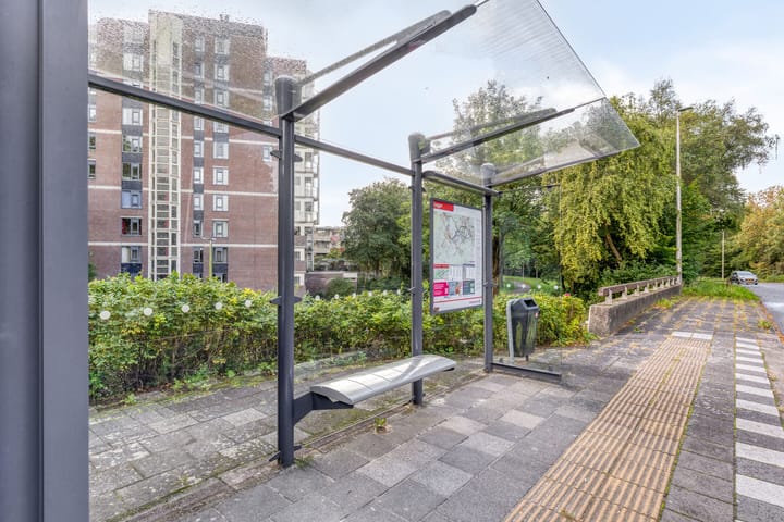 Photo 25 of Logger 284