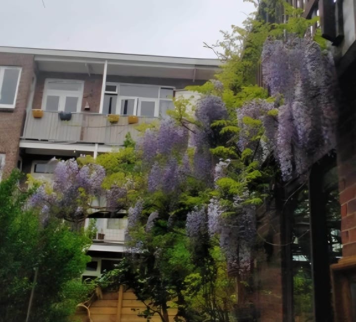 Foto 25 van Hermannus Elconiusstraat 20