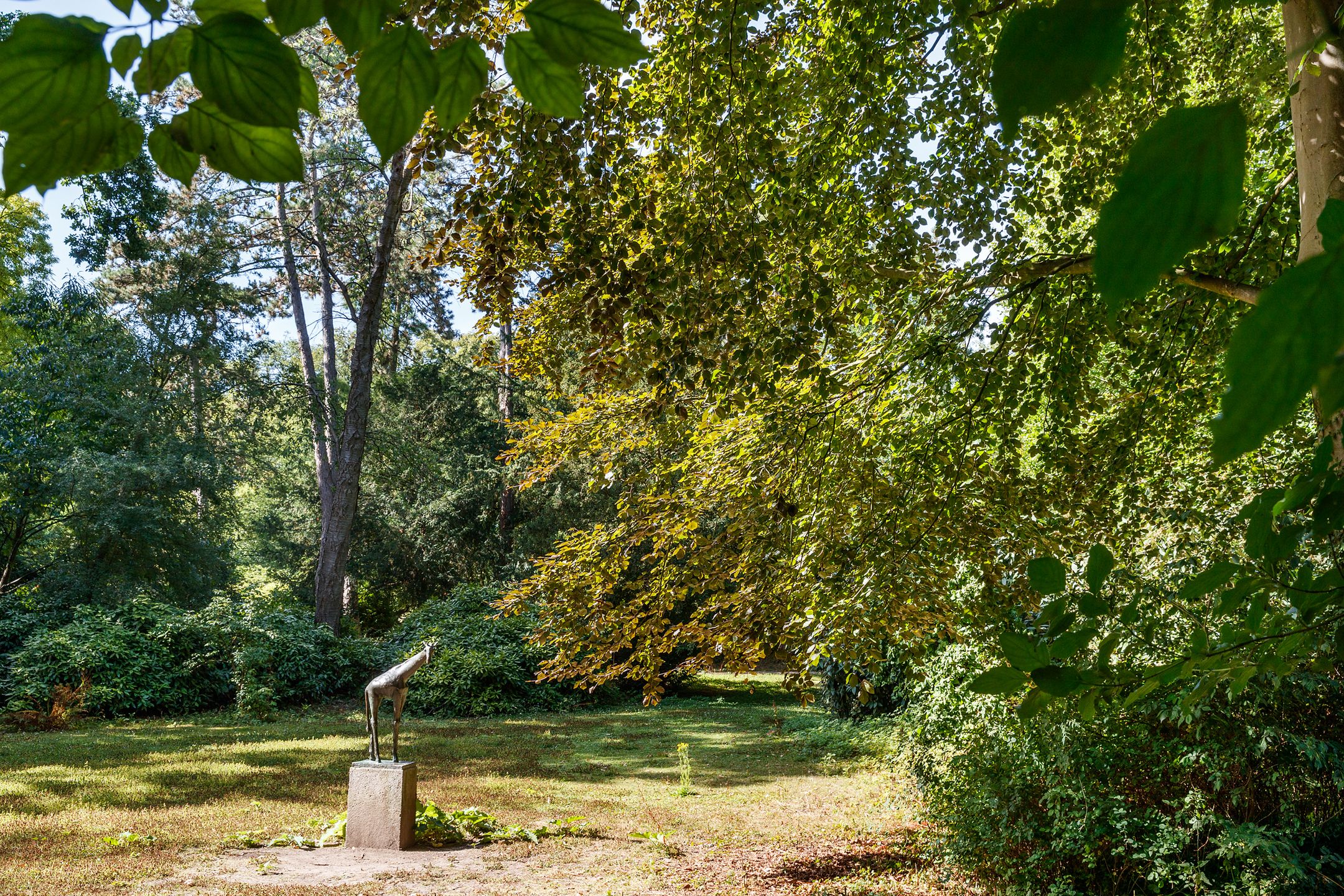 Foto 27 van Hermannus Elconiusstraat 20