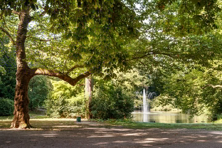 Foto 29 van Hermannus Elconiusstraat 20