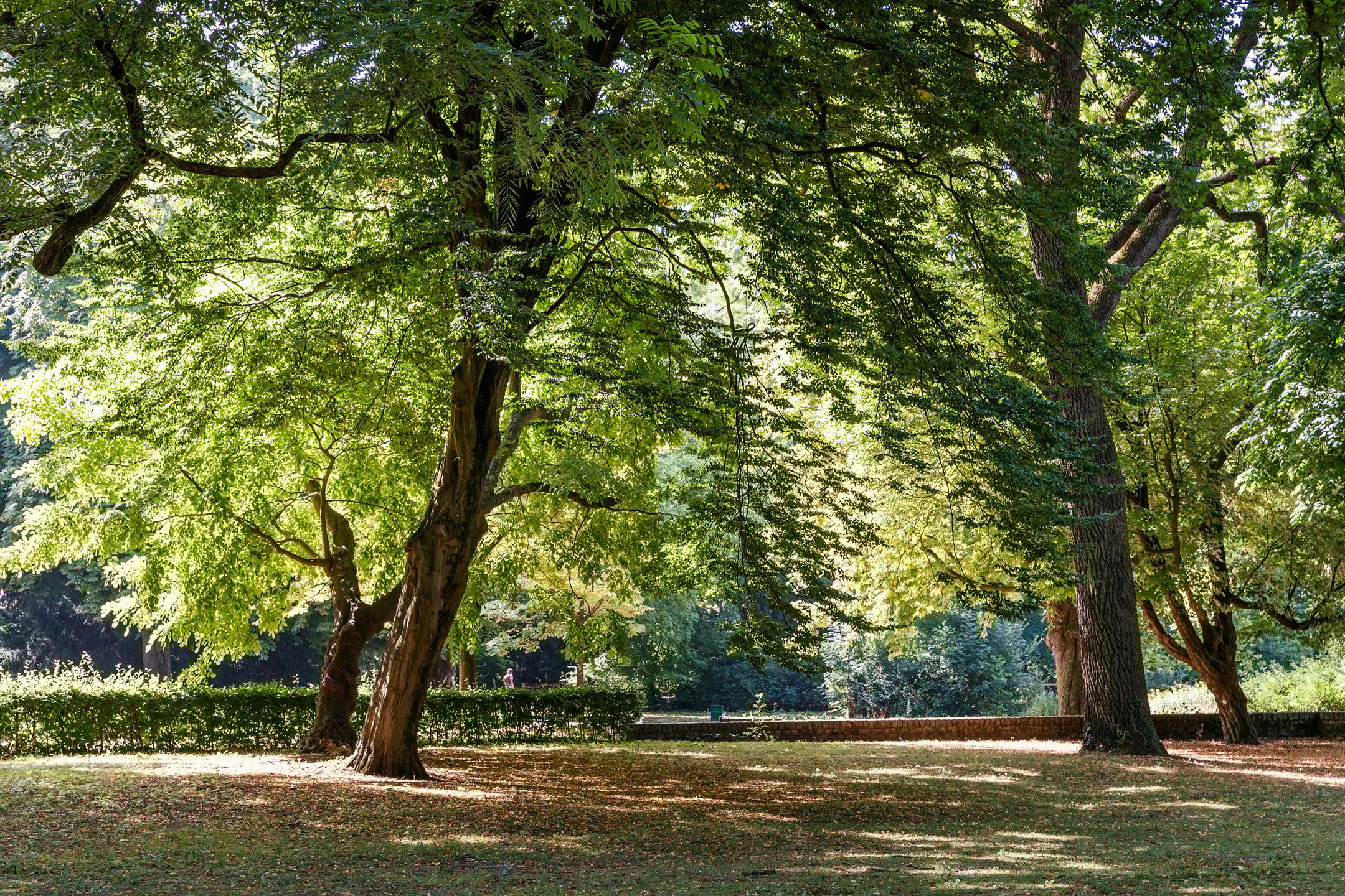 Foto 30 van Hermannus Elconiusstraat 20