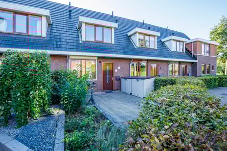 undefined main image