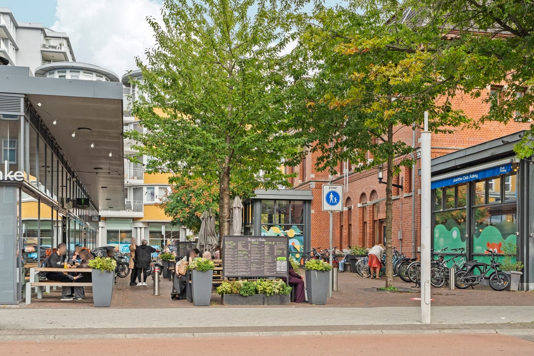 Foto 43 van Linnaeusstraat 74-3