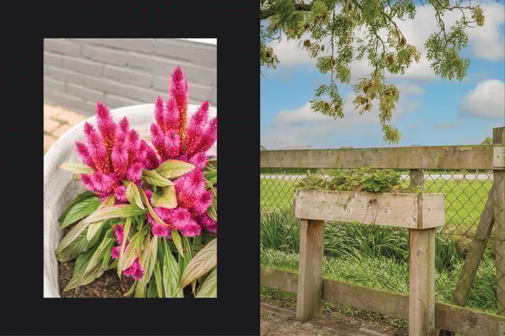 Foto 47 van Langstraat 1-A