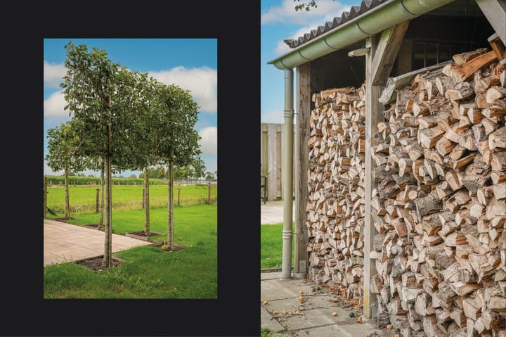 Foto 53 van Langstraat 1-A