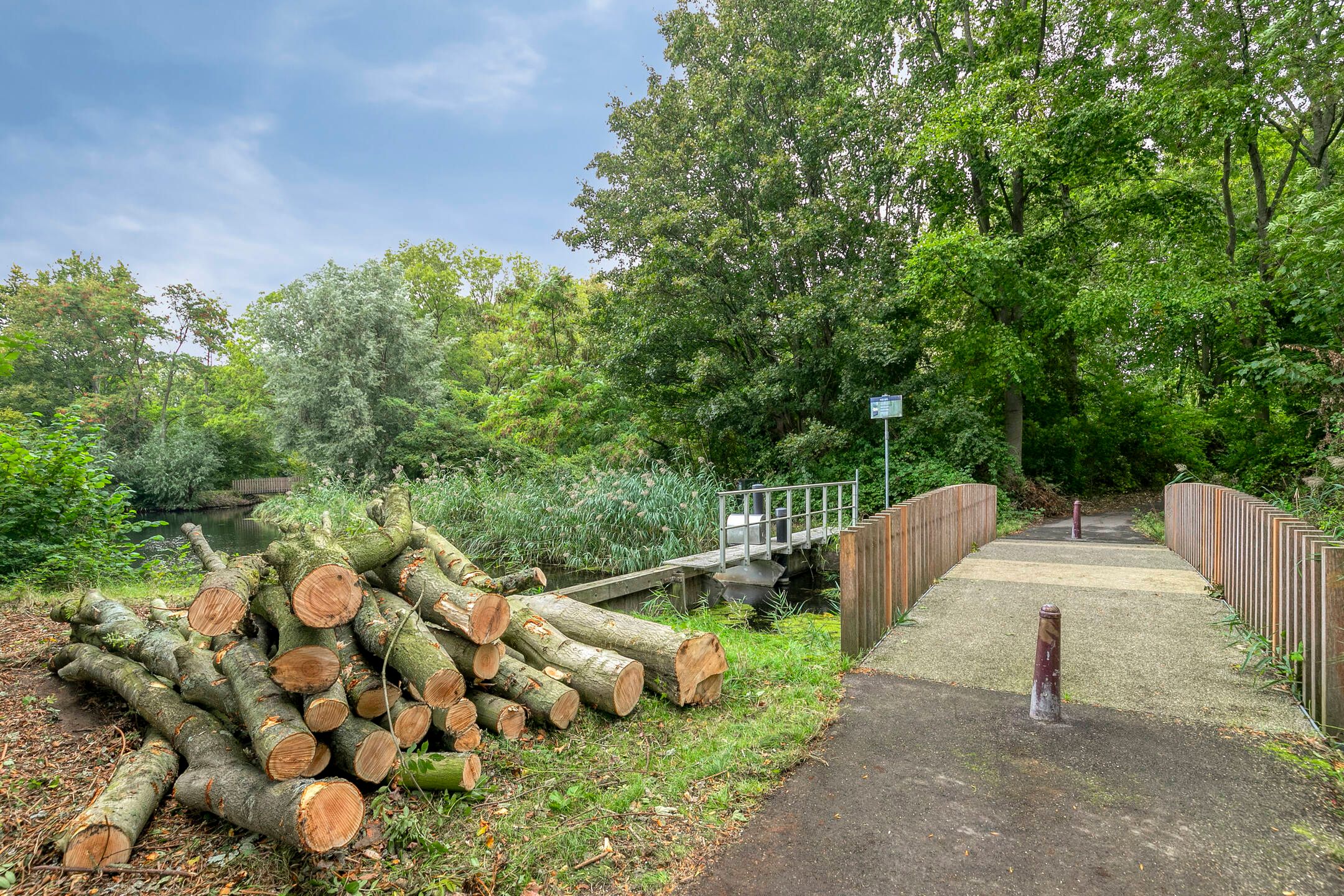 Foto 30 van de Noordbank 19