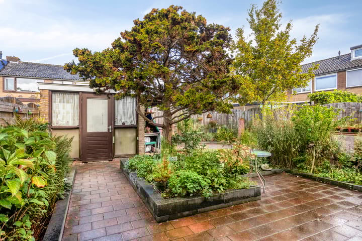 Photo 27 of Wilhelmina Druckerstraat 29