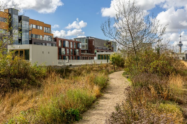 Foto 32 van Gedempte Zalmhaven 158