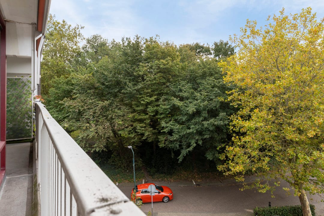 Foto 26 van Klaverweide 262