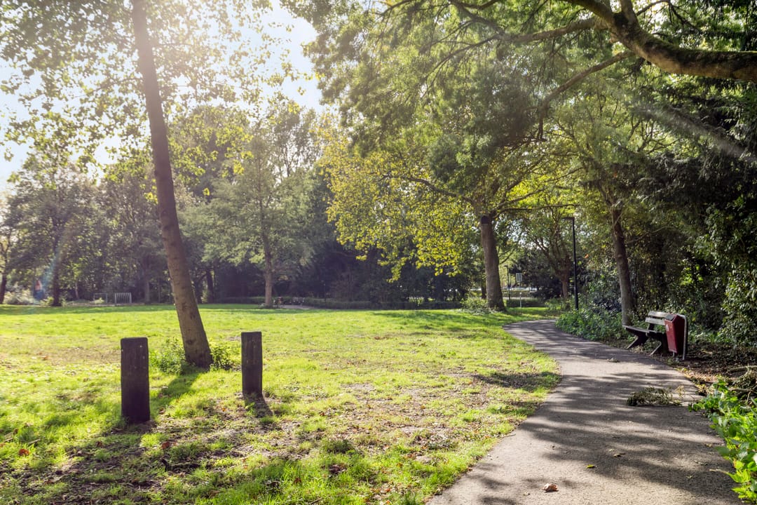 Foto 28 van Klaverweide 262