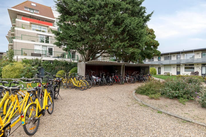 Foto 21 van De Schelp 67