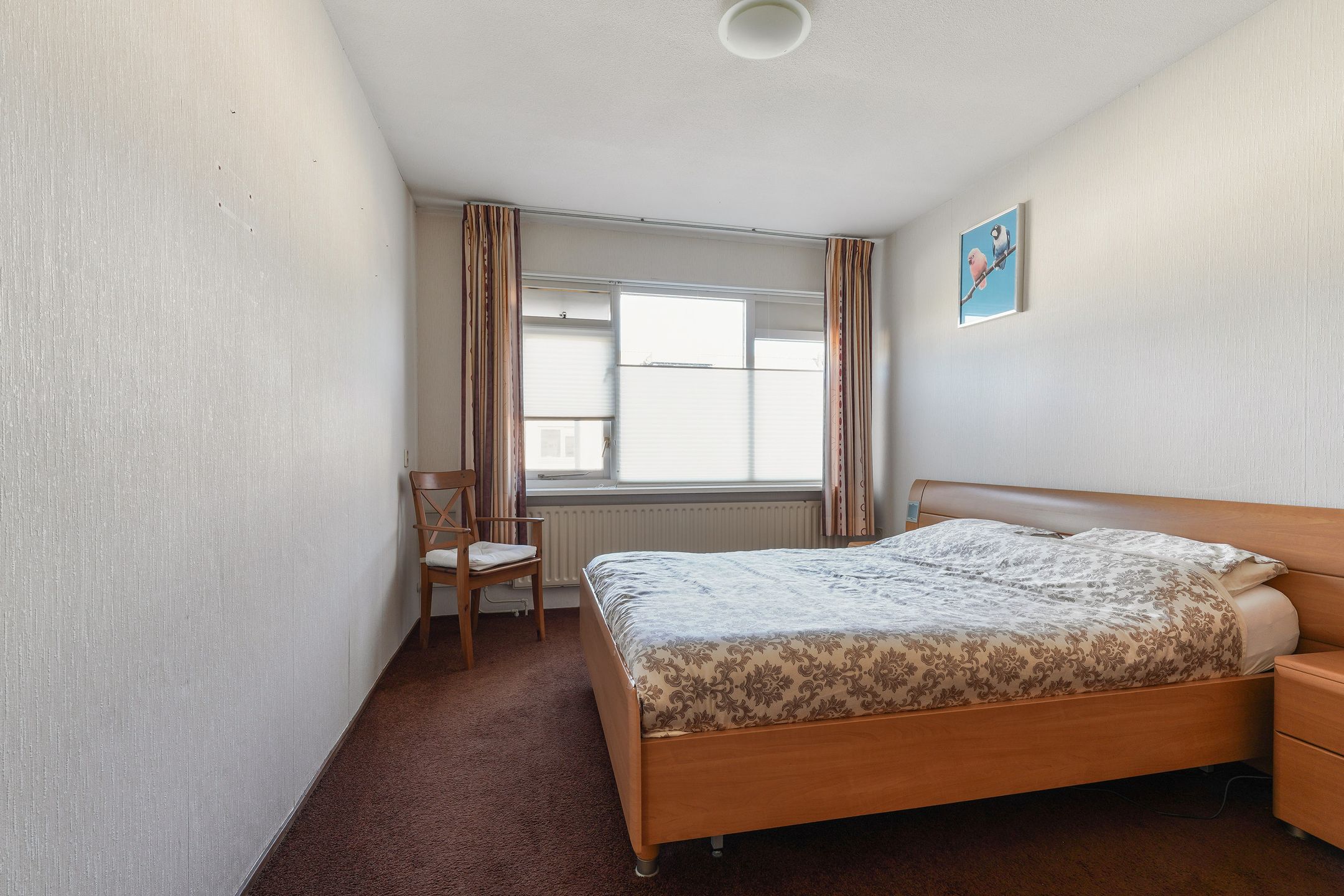 Foto 27 van Corpus 23