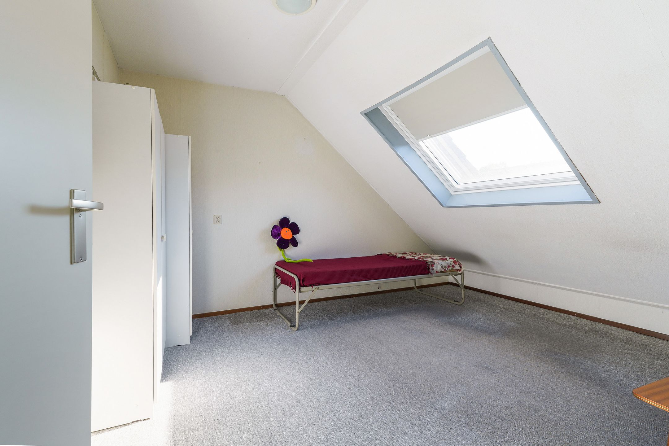 Foto 33 van Corpus 23