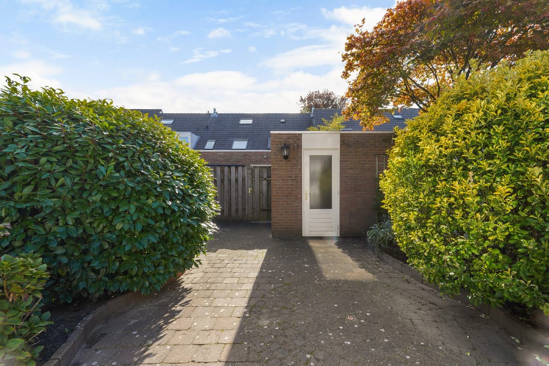 Foto 37 van Corpus 23