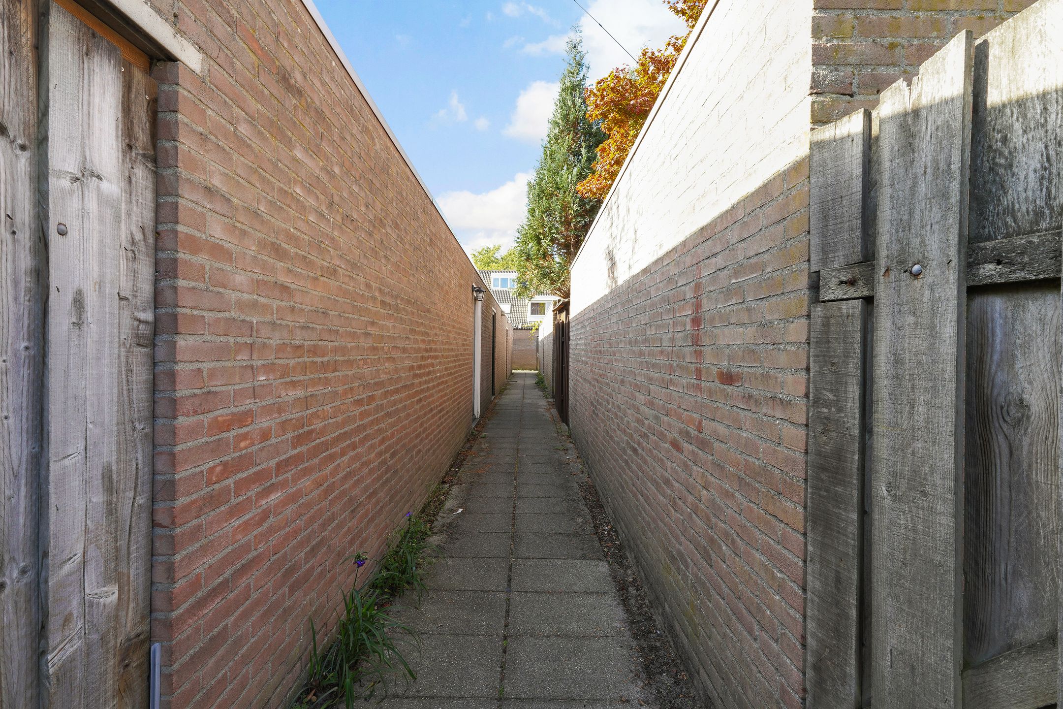 Foto 42 van Corpus 23