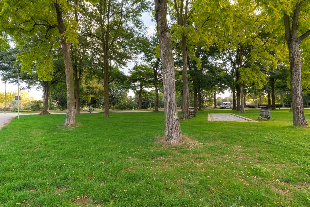 Foto 43 van Corpus 23