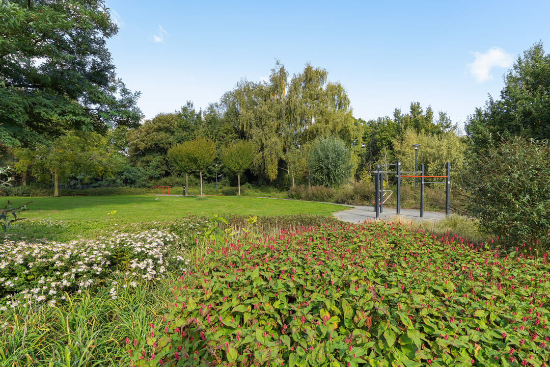 Foto 46 van Corpus 23