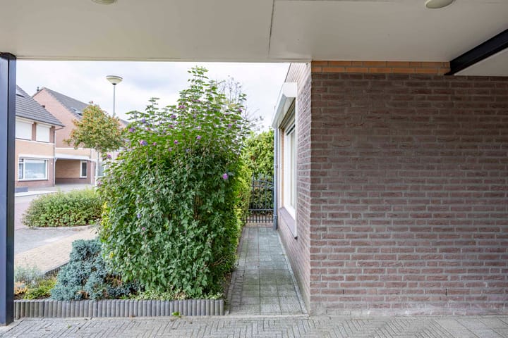 Foto 38 van Dopheide 23