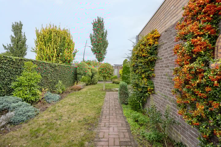 Foto 46 van Dopheide 23