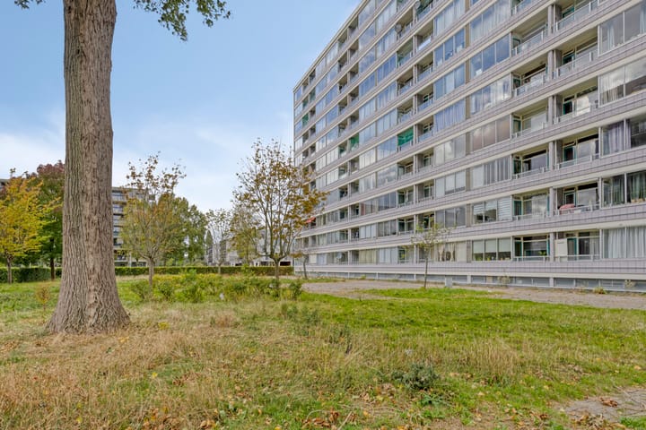 Photo 5 of Plein 1953 164