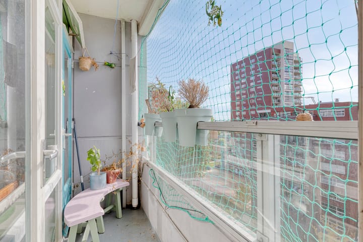 Photo 15 of Plein 1953 164