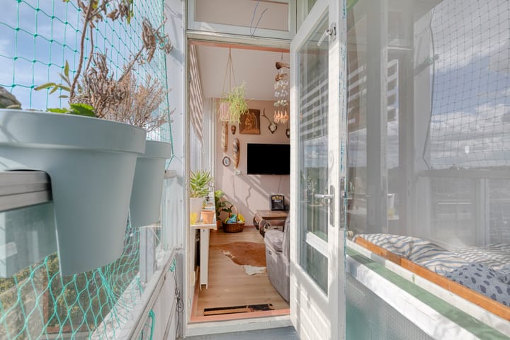 Photo 16 of Plein 1953 164