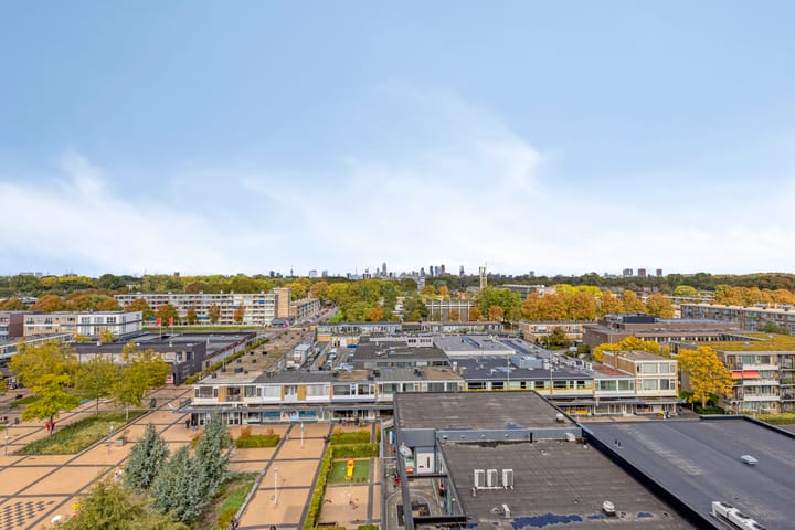 Photo 22 of Plein 1953 164