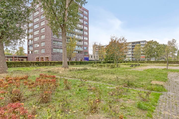 Photo 24 of Plein 1953 164