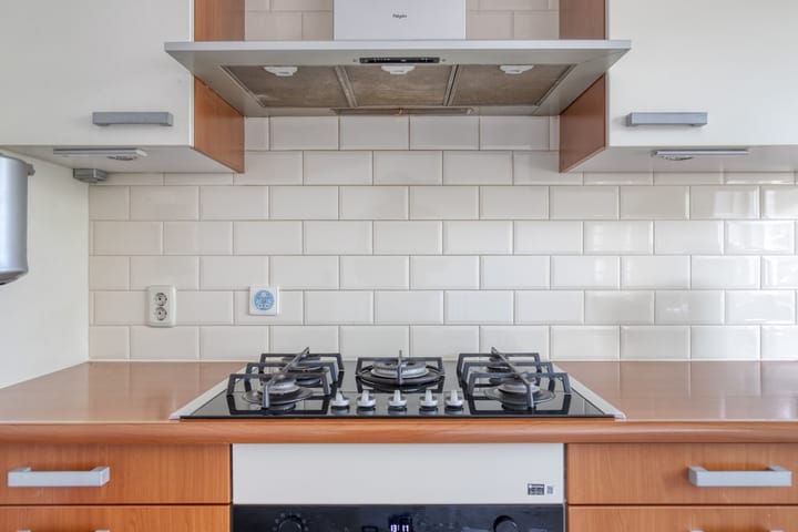 Photo 12 of Gele Rijderspad 50