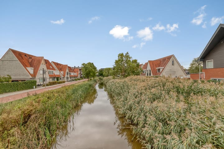 Photo 4 of Gele Rijderspad 50