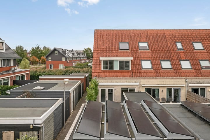 Photo 18 of Gele Rijderspad 50