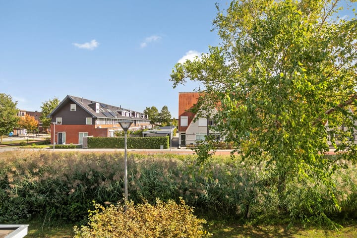 Photo 37 of Gele Rijderspad 50