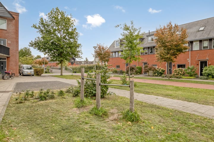 Photo 38 of Gele Rijderspad 50